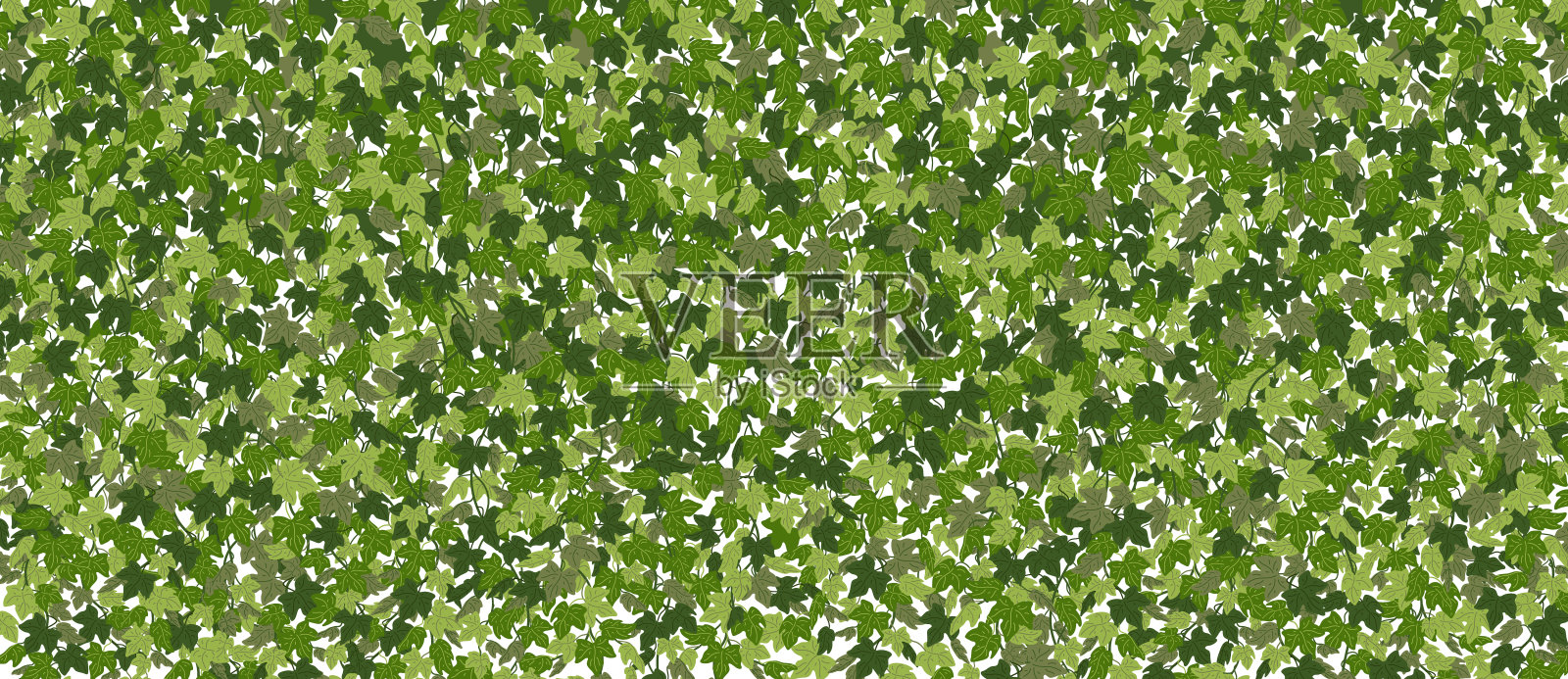 常春藤横背景，绿色藤蔓窗帘。矢量插图在平面卡通风格插画图片素材