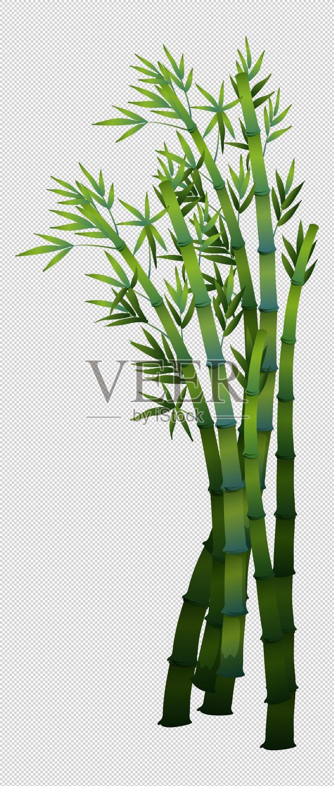 卡通绿色竹子设计模板素材