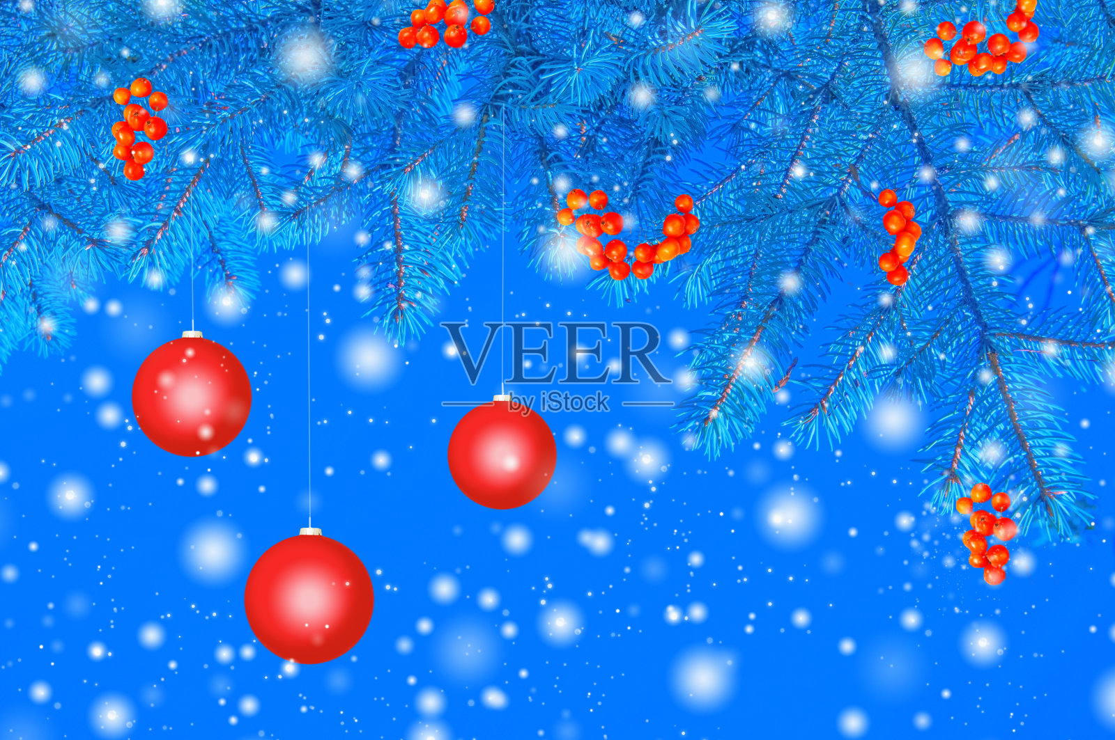 蓝色的云杉树枝上有红色的圣诞球和红色的榕果，蓝色的背景上有雪花照片摄影图片