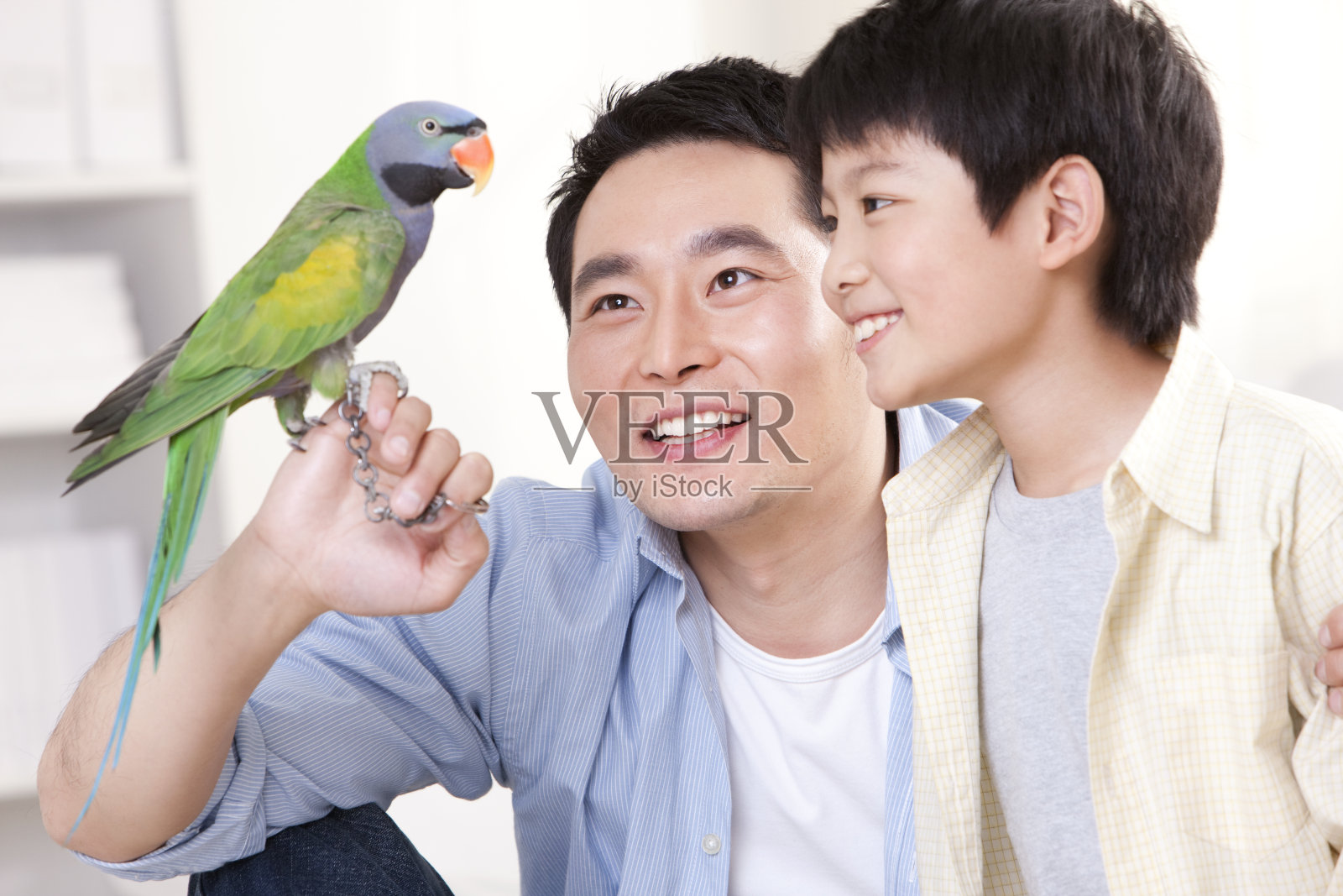 父子和鹦鹉一起玩耍照片摄影图片