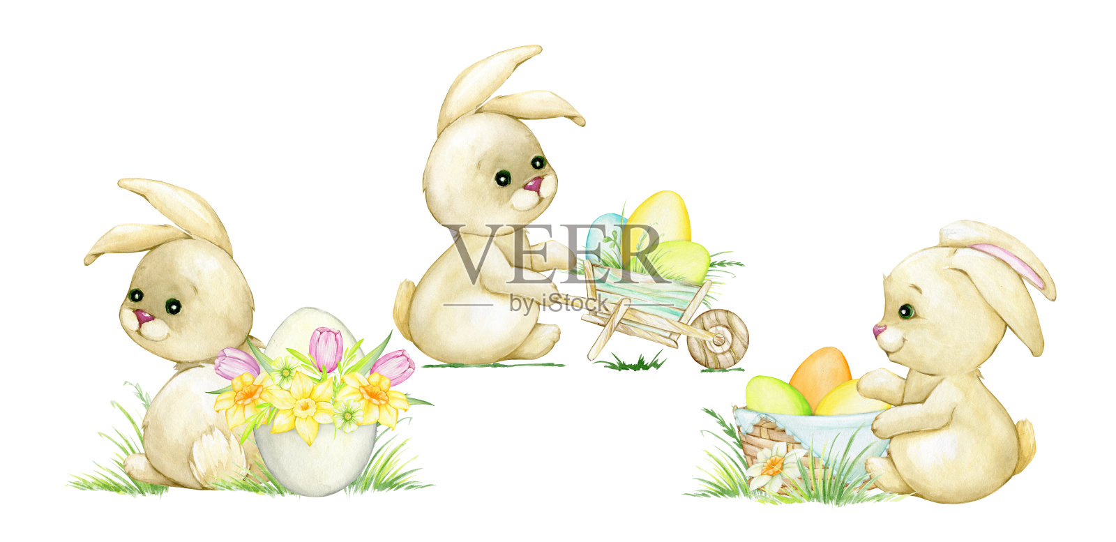 兔子，复活节彩蛋，篮子，花，草。水彩设置，剪贴画，在一个孤立的背景。设计元素图片