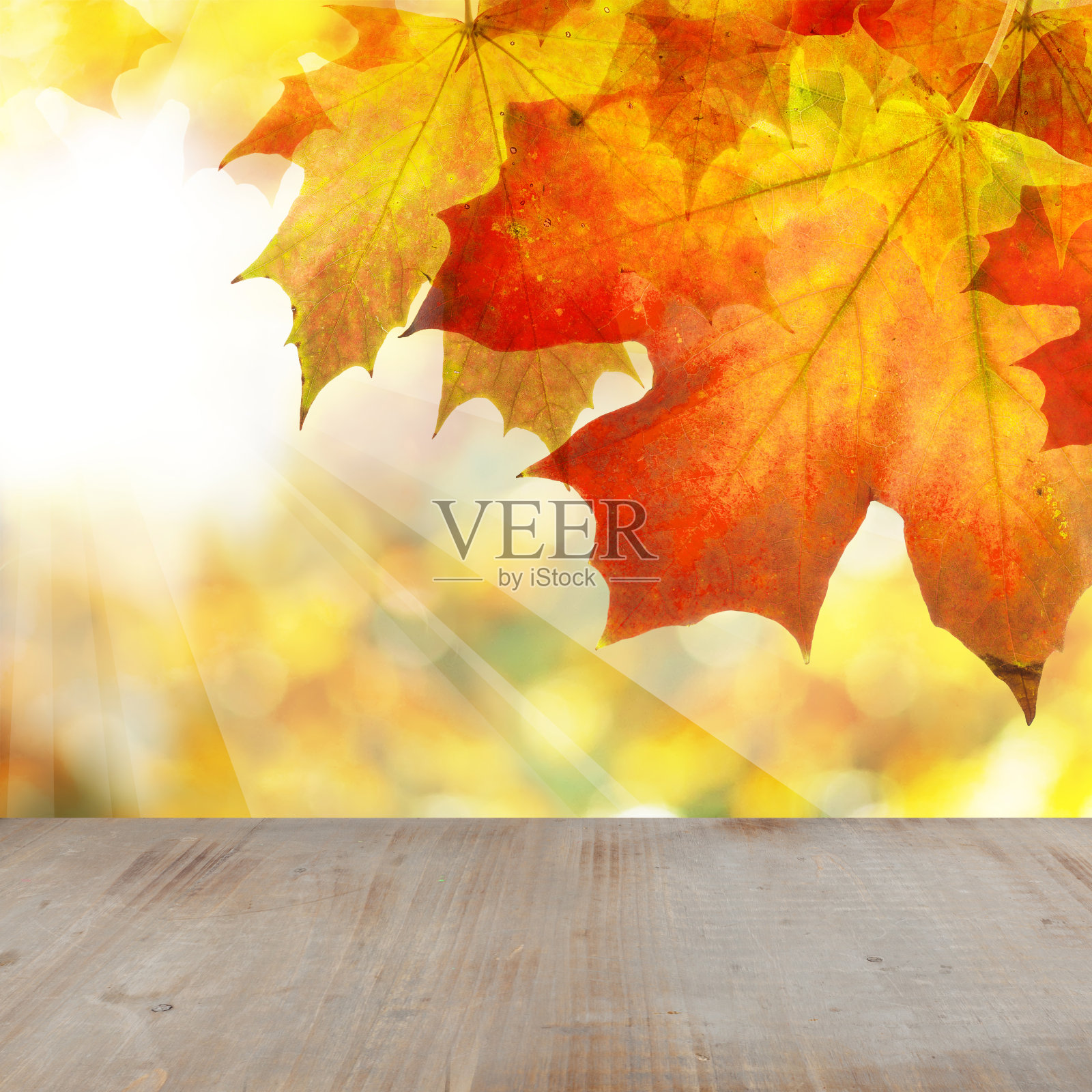 秋天的枫叶边界在抽象阳光散景背景照片摄影图片
