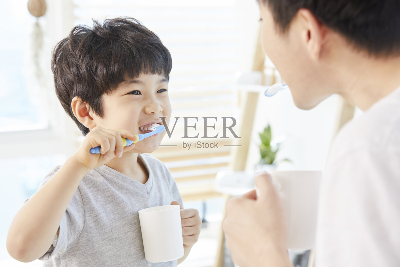 刷牙,家庭,父亲,儿子,韩国人照片摄影图片