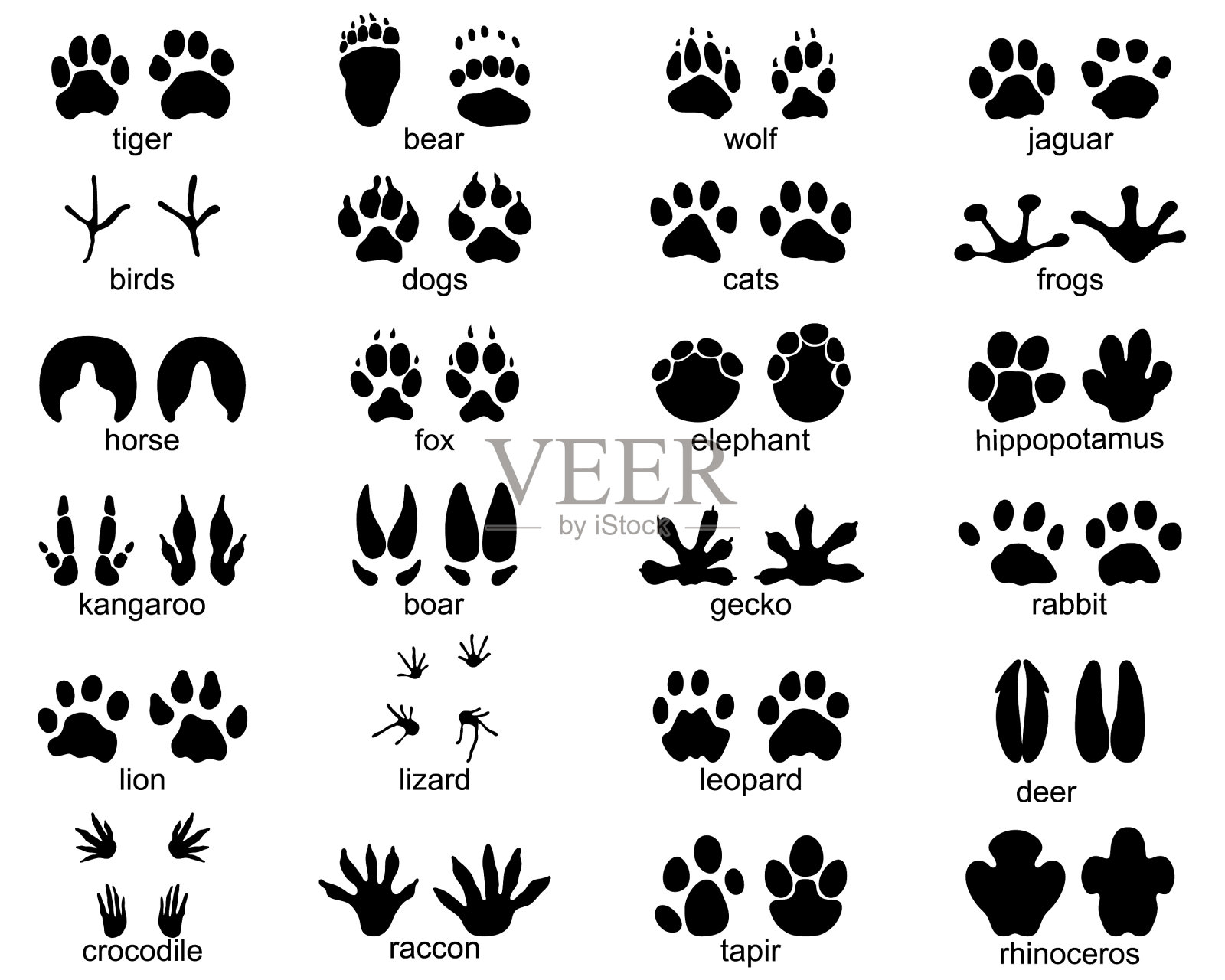 50款动物脚印图片图片-图行天下素材网