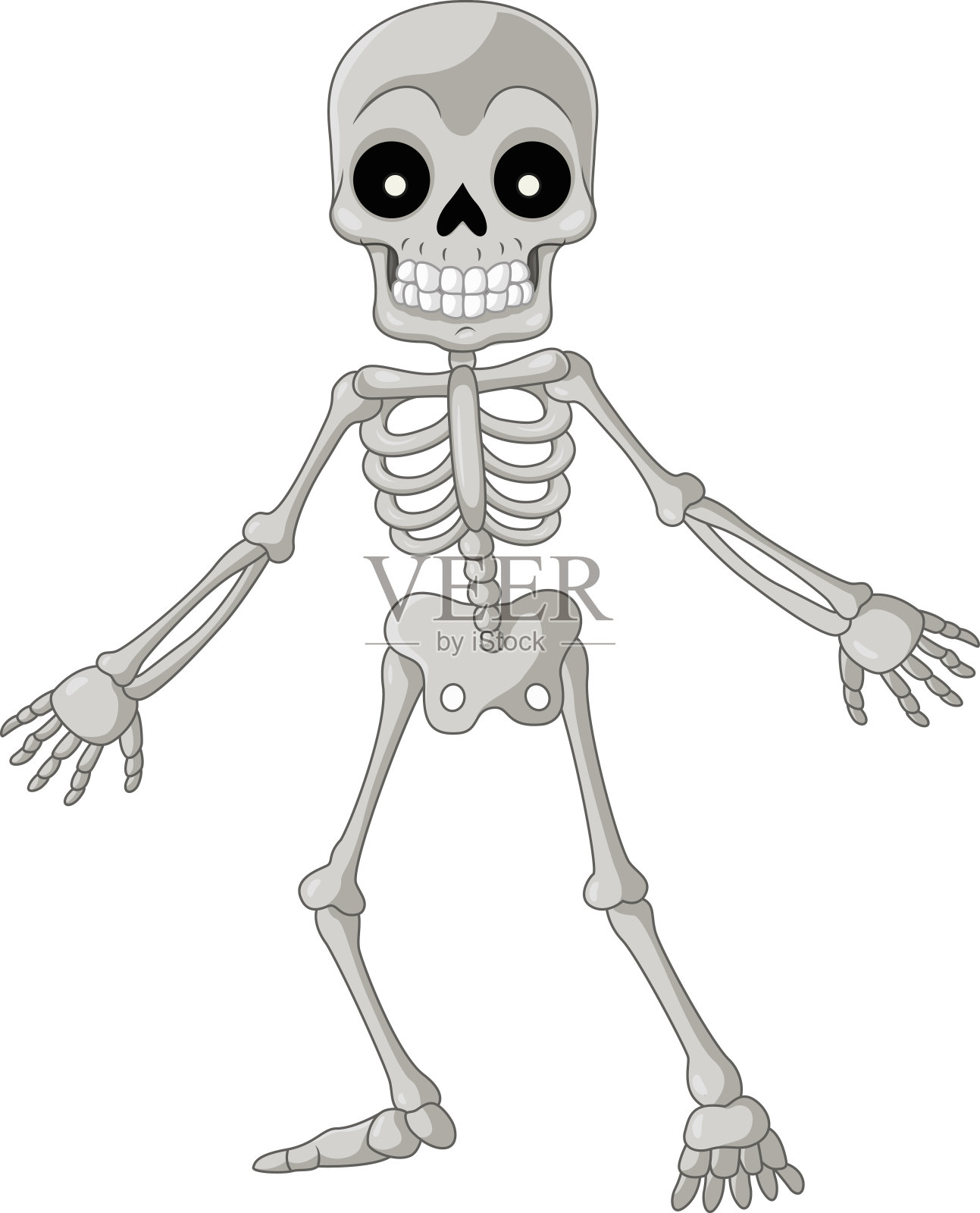 醫用人體骨骼模型人體脊椎骨架醫用脊柱標本小人全身骨模型85釐米-Taobao