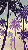 矢量插图的手绘棕榈树在一个油漆的背景。图片素材