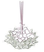 花的装饰在节日里孤立在白色上插画图片