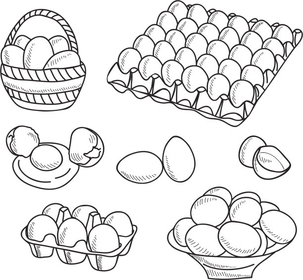 一堆鸡蛋简笔画图片