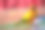 太阳锥尾鹦哥鹦鹉素材图片