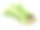 丝瓜海绵(丝瓜)孤立在白色背景上素材图片