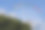 大连星海公园的摩天轮。素材图片