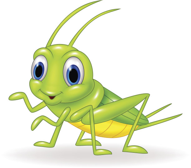 卡通可爱的绿色蟋蟀孤立在白色的背景图片下载