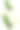 黄瓜丁。孤立在白色背景上。直接上图。素材图片