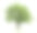 白色背景上孤立的落叶树素材图片