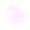 粉红牡丹孤立在白色背景上素材图片