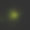 在草上发光的发光虫(夜光七鳃鳗)。素材图片