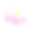 粉红色的牡丹花黄色雄蕊，孤立在白色背景上素材图片