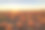 夕阳下的南瓜田素材图片