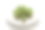 三叶草绿蛋糕，圣帕特里克节自制甜点素材图片