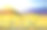 雏菊花开花。一幅乡村日落风景的油画素材图片