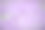 紫色的薰衣草素材图片