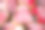 情人节的红色和粉色心形饼干全框架宏素材图片