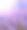 可爱的阳光灿烂的紫色薰衣草花背景素材图片