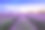 薰衣草田的日出和壮观的云彩素材图片