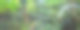 欧文溪山雨林素材图片