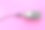 麦克风，专业膜片麦克风。粉红色的背景素材图片