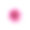 白色的粉红色菊花孤立素材图片
