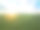 鸟瞰图美丽的日落在绿色的玉米田-农田素材图片
