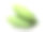 新鲜的绿色芒果在白色的背景素材图片