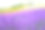 薰衣草盛开的特写(紫色的野地花)和彩虹彩色的花背景，富兰野，日本北海道素材图片