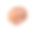 鲜芋头孤立在白色背景素材图片