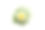 洋甘菊，母本花孤立。素材图片