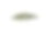 在白色背景上分离的南瓜子。前视图。在白色背景上分离的南瓜子。带有文本拷贝空间的南瓜籽。素材图片
