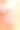 橙色背景上的兰花法国美甲。拥有白色渐变法式指甲的女人手持兰花素材图片