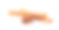 肉桂棒和八角茴香孤立在白色背景素材图片