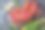 灰色背景上的红色帝王蟹。帝王蟹，柠檬和香菜，俯视图素材图片