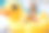 一个长头发的可爱小女孩坐在一只黄色的充气鸭子上。素材图片