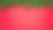 新年的自然云杉枝桠边缘上的红色背景，快乐新年的概念背景素材图片