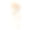 一只英国猫孤立地坐在白色背景上。小短毛猫坐着抬头看着漂亮可爱的大眼睛，前面的视点有白色和橙色的毛色条纹素材图片