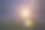清晨雾蒙蒙的乡村的神秘景象。阳光穿过浓雾。在雾蒙蒙的田野上搭起了帐篷。雾气笼罩的松林。素材图片
