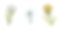 水彩水墨系列:蒲公英、唐茜、蓍草三种夏季花卉一套。孤立的插图上的白色背景。素材图片
