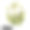 菊科洋甘菊或菊菊状植物数码艺术插图。盛开的花朵和绿色的叶子。洋甘菊，德国或匈牙利洋甘菊，有香味的mayweed。素材图片