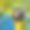 蓝黄金刚鹦鹉近距离侧面轮廓素材图片