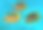 蓝色海水中的三种对角线蝴蝶鱼(纹状毛犀)。美丽的珊瑚礁景色。素材图片