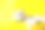 美丽的白色猫的肖像与太阳眼镜在黄色织物吊床孤立在黄色的背景素材图片